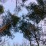 Любовь Васильева