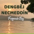 Dengbej Nejmeddin