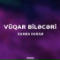 Vüqar Biləcəri