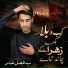 Syed Faisal Abbas