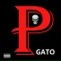 Gato