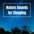 Sleep Music Station