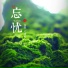 毛瑾熙