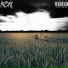 RZXY