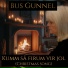 Bus Gunnel