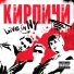 Кирпичи