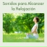 Sanar el Alma