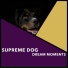 Puppy Music, Puppy Music Therapy