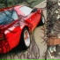 Nakani