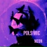 Pols Mic