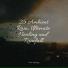 Nature Chillout, Baby Sleep, A Sudden Rainstorm