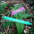 derty