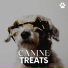 Calming for Dogs
