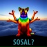 SOSAL?