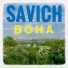 SAVICH