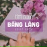 LeeDT Band
