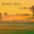 Bertram Geck