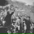 tropavibes