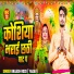 Brijesh Rock Yadav