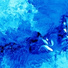 Iván Espeche Gil