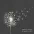 Soothing Music Collection