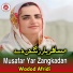 Wadod Afridi