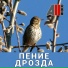 AllVideo