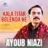 Ayoub Niazi