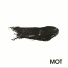 MOT