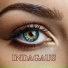 Indagaus