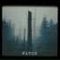 Faygx
