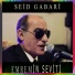 Seid Gabari