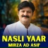 Mirza AD Asif