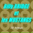 Billy Bridge & Les Mustangs