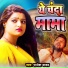 Rajesh Yadav