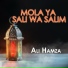 Ali Hamza