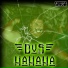 DvS