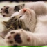 Deep Sleep Meditation, Sleep Tight, Instrumental