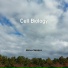 Serene Songs