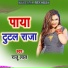 Raju Lal