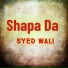 Syed Wali Wazir