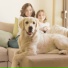 Boy With Pets