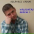 Szlávecz Gábor