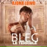 BLEG LE TERRIBLE