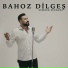 Bahoz Dilgeş