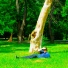 Shadowboi