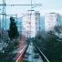 kovvulation