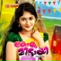 Vasantha Pazhayannoor