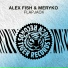 Alex Fish, MERYKO
