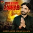 Syed Samar Abbas Shamsi